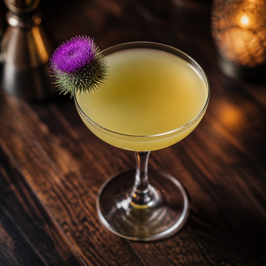 Thistle Cocktail Cocktail Rezept